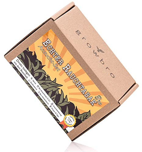 Bonsai Wisteria Anzuchtset inkl. Achtsamkeitskarten von growbro, ZÜCHTE DEINEN EIGENEN BONSAI BRO, Bonsai Starter Kit inkl. Samen, Sprühflasche, uvm. (TA BRO)