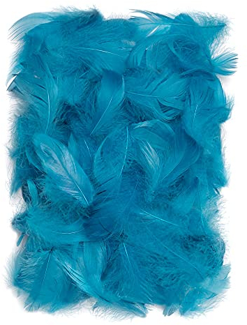 Netuno 150 Stück Deko Federn Türkis 10g Flaumfedern Schmuckfedern Vogelfedern Bastelfedern Natur für DIY Basteln Dekoration Ostern Weihnachten Dekofigur