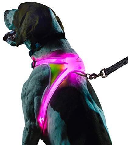 Noxgear LightHound – Revolutionary Illuminated and Reflective Harness for Dogs Including Multicolored LED Fiber Optics (USB Rechargeable, Adjustable, Lightweight, Rainproof) (Large)