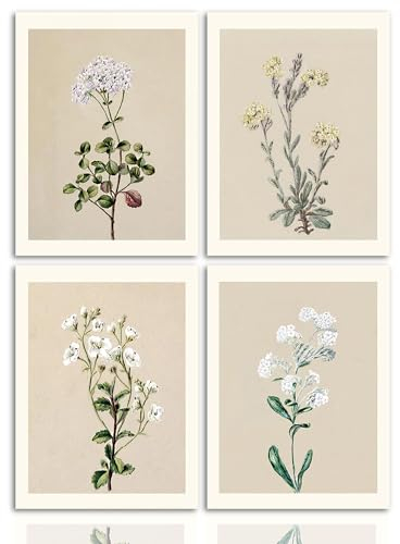 NymphFable Dazzlewall Boho Vintage Blumen Wandbilder Minimalistisch Botanische Leinwand Bilder für Schlafzimmer Wohnzimmer Deko 30x40 cm Ohne Rahmen 4er Set