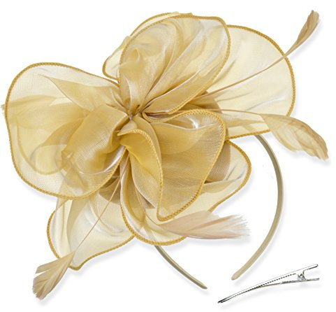 DRESHOW Damen Fascinators Hut Cocktail Party Tee Kopfbedeckung Blume Mesh Organza Bänder Federn auf Einem Stirnband