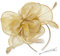 DRESHOW Damen Fascinators Hut Cocktail Party Tee Kopfbedeckung Blume Mesh Organza Bänder Federn auf Einem Stirnband