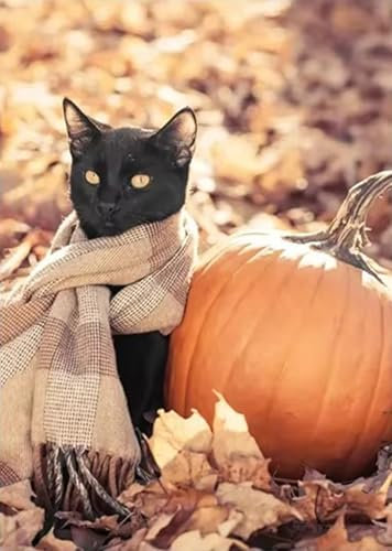 Uixxducc 1er Premium Poster & Kunstdrucke, Leinwandbilder Herbstbilder Aesthetic Dekoration, Ohne Rahmen - Herbst Poster Für Schlafzimmer Wohnzimmer (H,13 * 18cm)