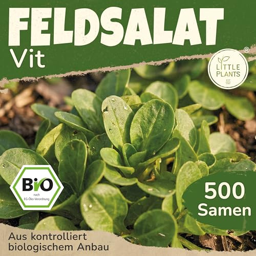Little Plants BIO Feldsalat Samen 500 Feldsalatsamen Vit Gemüsesamen Salatsamen für Gemüsegarten Samenfest Gemüse Samen für Küche, Balkon und Garten