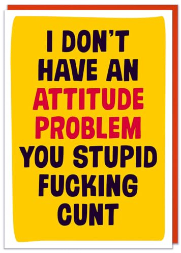 I Don't Have an Attitude Problem You Stupid Card