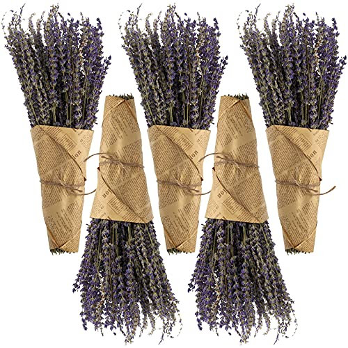 Yarlung 5 Stück 40,6 cm getrocknete Lavendelblüten, 550 Stiele, lila Lavendelsträuße für Heimdekoration, Hochzeit, DIY Handwerk