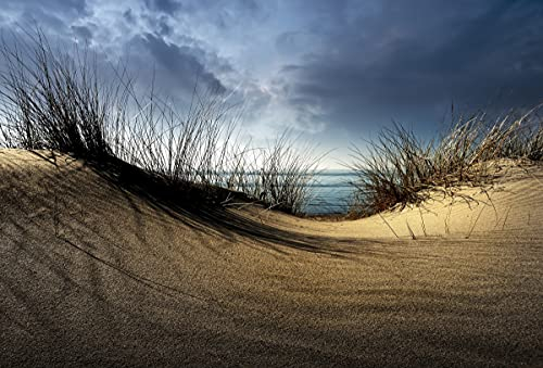 DÜNEN Fototapete VLIES-350x260 cm (6110A)-Nordsee Sand Strand Meer Landschaft Wüste Fotokunst Wandtapete-Inkl. Kleister-Vliestapete Bild Dekoration Wand-Dekor Moderne Motiv-Tapete Panorama Poster XXL