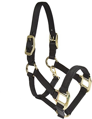 Intrepid International Nylon Miniatur Horse Halfter Größe L Schwarz