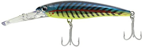 Rapala - X Rap Magnum 160, Color 160 mm (72 gr), Talla 72 gr