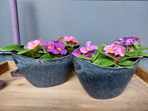 meytrade 2 x Übertopf Blumentopf Jardiniere innen & außen Schiffchen dunkelgrau Sparset