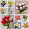 7 Pcs Tulpenzwiebeln Kaufen - Tulipa Gesneriana - Tulpen Zwiebeln, Nachhaltige Geschenke, Pflanzen Deko Tulpenzwiebel, Blumenzwiebeln Tulpen, Frühlingsblumen Zwiebeln, Zimmerbonsai