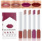 Lip Gloss Sets, Lippenstift Matt, Lippenstift Set, Satte Farben, Wischfest und Lichtecht, Wasserfester Lippenstift Einfach zu Langanhaltendes Make-Up zu Kreieren, 4 Farbe