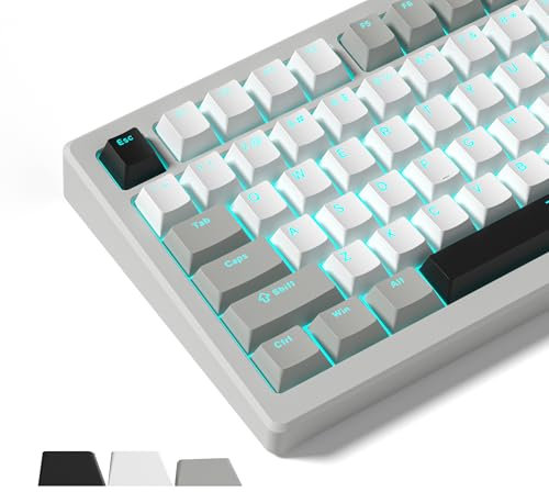 Womier Shine Through Keycaps, PBT Keycaps 60 65 75 100 Percent Cherry Profile Custom Key caps Set for Cherry Gateron MX Switches Mechanical Keyboard-Grey Creamy