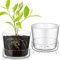 Singhoow 2 Sets 15,2 cm Glas-Pflanzgefäß mit Drainageloch und Tablett, für den Innenbereich, transparente Blumentöpfe mit Untersetzer, moderner dekorativer Orchideen-Glastopf für