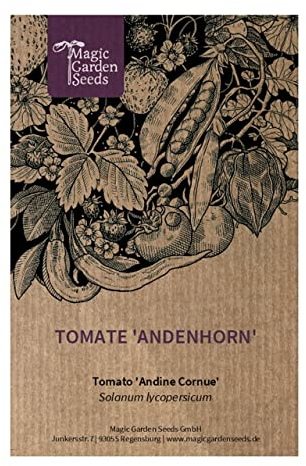 Hörnchenförmige roteTomate 'Andenhorn' (Solanum lycopersicum) 20 Samen