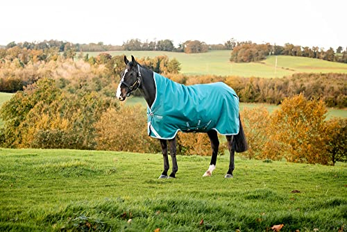 Horseware Amigo Bravo 12 Wug medium Storm Green Größe wählbar (145)