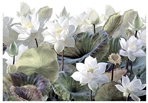 wandmotiv24 Fototapete Blüten Malerei Natur Blätter, XL 350 x 245 cm - 7 Teile, Wanddeko, Wandbild, Wandtapete, Lotus Blumen Vintage grün weiß M6849