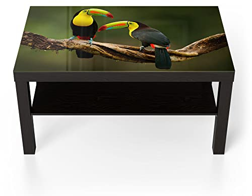 DEQORI Glastisch | schwarz groß 90x50 cm | Motiv Tukan-Pärchen sitzend | ausgefallener Beistelltisch aus Glas | Hochglanz Couchtisch fürs Wohnzimmer | moderner Couch Tisch mit Design