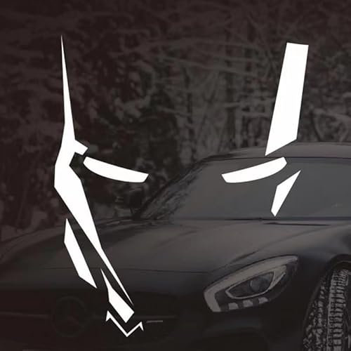 Cretassion Motorrad Aufkleber Reflektierend, Coole Wasserdicht Auto Aufkleber Sticker, Hochwertige Sticker für MotorräDer, Motorradhelm, Skateboard, Auto Und GeläNdemotorräDer 20CM