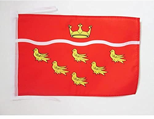 AZ FLAG East Sussex county Flag 45x30 cm 100D Polyester Cords | Indoor and outdoor use 12x18 in decorative flag double stitched seams and reinforced edges with ties