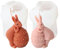 2 Stück Osterhase Silikonform, Silikonform Ostern, Gießform Hase Kerzenform, Ostereier Hase Silikonform, Epoxidharz Formen, Osterhase Silikonform for Gips,Seife, Sojawachs Kerzen