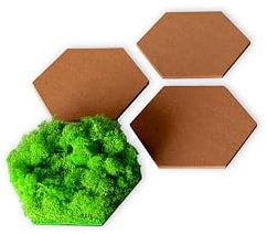 Moospaneel Hexagon - Kork Pinnwand Elemente - Mooswand - Moosbild (3x Kork Pinnwand)