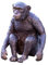 IDYL Bronze-Skulptur Schimpanse | 15x9x12 cm | Tierfigur aus Bronze handgefertigt | Wetterfest