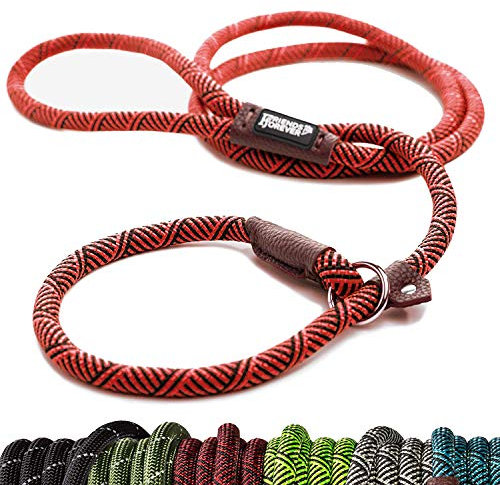 Friends Forever Laisse pour Chien extrêmement Durable, Corde d'escalade de Montagne de qualité supérieure, Solide, Robuste et Confortable, soutient Les Chiens de Grande et Moyenne Taille Les Plus