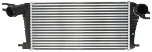 NISSENS 96393 Ladeluftkühler LLK für MINI Countryman (R60) Paceman (R61) Turbo Intercooler Netzlänge 510 mm, Netzbreite 255 mm, Netztiefe 32 mm, ohne Schnellkupplung