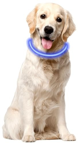 Voarge Leuchthalsband, Leuchthalsband Hund aufladbar, leuchtendes Hundehalsband mit 3 Beleuchtungsmodi, längenverstellbares LED-Halsband für mittlere und große Hunde blau
