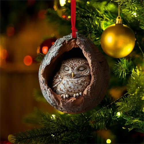 Weihnachten Eule Waschbär Igel Eichhörnchen Anhänger, 2D Acryl Tier Weihnachtsbaum Hängende Dekoration Niedlich Tier-Figur Christbaumanhänger Tiermuster Weihnachtsanhänger Weihnachtsbaumschmuck (C)