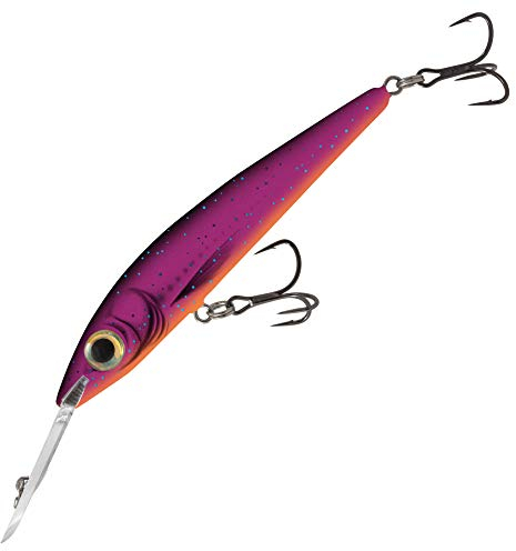 Salmo Rattlin Sting Deep Runner RS9DR 9cm Wobbler, Farben:Purple Rain