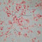 Stoff Meterware pflegeleicht Blütenmeer pastell hellblau rosa pink Dekostoff Vorhangstoff Tischdeckenstoff Kissenstoff selber nähen Meterware