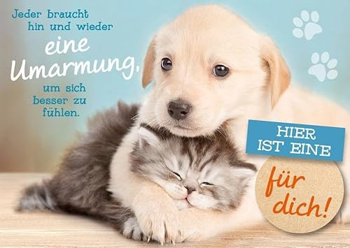 Gutsch Verlag Tier-Postkarte mit süßem Welpen und Kätzchen – Hier ist eine Umarmung für dich! – Perfekt zum Verschenken, um jemandem eine Freude zu machen – Hochwertiger Druck