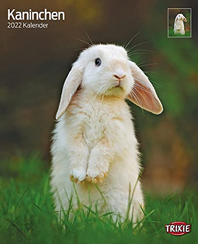 Kalender 2011 Kaninchen - Wandkalender Trixie