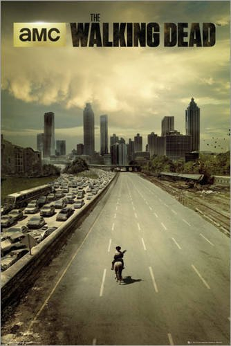 Poster 61 x 91.5 cm - The Walking Dead - city