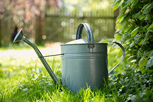 KUHEIGA Gießkanne 10 Liter Farbe: Antik - Zink Metall Zinkkanne Verzinkt Wasserkanne