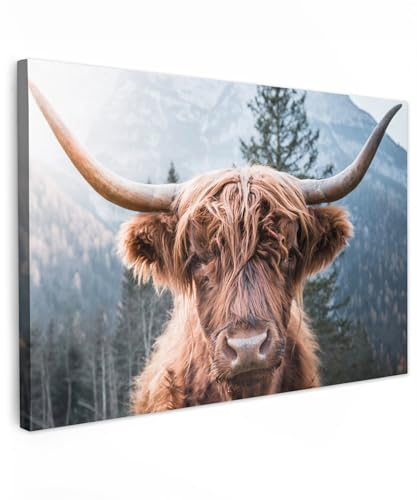 MuchoWow Leinwand Bilder, Einzigartige Wanddeko mit Rahmen, Schottischer Highlander - Berge - Porträt, Wandbilder Wohnzimmer, Deko Schlafzimmer 120x80 cm