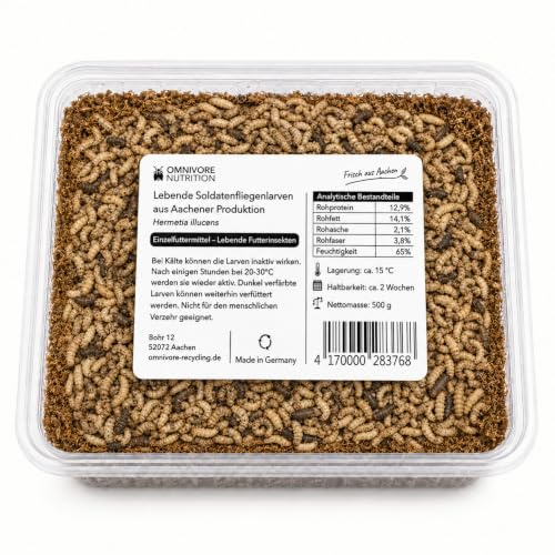 Soldatenfliegenlarven lebend 500 g – Lebende Futterinsekten (Hermetia illucens) – Futterlarven für Vögel, Igel, Reptilien & Fische – aus Aachen