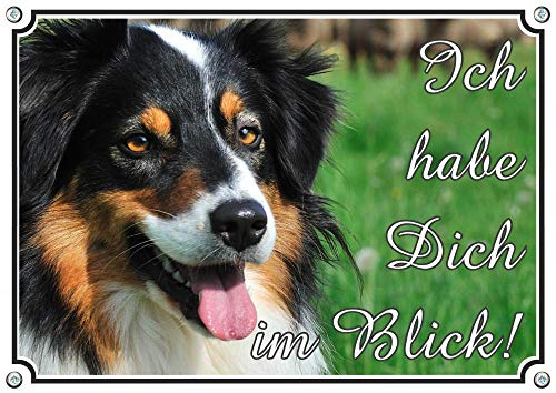 Petsigns Australian Shepherd Hundeschild -TOP haltbare Qualität aus 1,5 mm Metallplatte, DIN A5