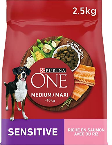 PURINA ONE Medium/Maxi > 10 kg | Erwachsene | Sensitive | Reich an Lachs für Hunde | Beutel mit 2,5 kg