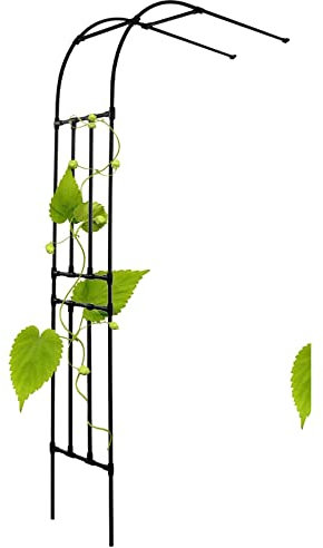 SMYORR Arco de Jardín Arco Decorativo para Rosales y Plantas Trepadoras de Metal Semiarco Archway Jardín para Exterior Eventos/Black / 300x240x40cm