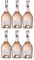 Fantini Calalenta Merlot Rosato Roséwein trocken Italien inkl. FeinWert E-Book (6 x 0,75l)