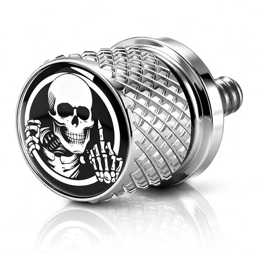 Kit viti e dadi zigrinati in acciaio inox per parafango da 1/4-20, bullone sedile moto compatibile con Harley Davidson Touring Sportster Softail Dyna CVO Fatbob Street Glide 1996-2025 (argento)