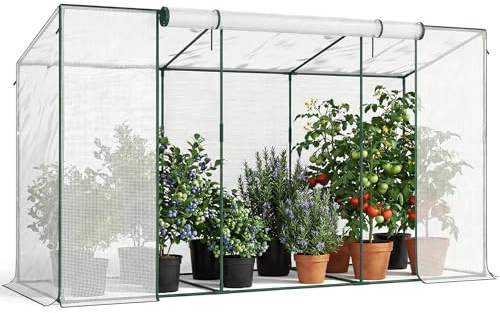 Tomaten Gewächshaus - Begehbarer Tomatengewächshaus - 300x100x170 cm Foliengewächshaus für Pflanzen - Stabil, UV-Beständig, Optimales Pflanzenwachstum - Frühbeet, Gemüse, Blumen, Obst