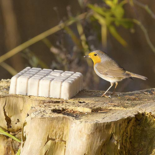 CJ Wildlife Fettblock für Wildvögel – Energieblock mit Insekten – Original Plus mit Mehlwürmern und Erdnussmehl – Hochkalorisch 60% Fett – Wildvogelfutter Fettfutter