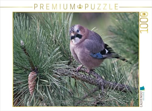 CALVENDO Puzzle Eichelhäher | 1000 Teile Lege-Größe 64 x 48 cm Foto-Puzzle für glückliche Stunden
