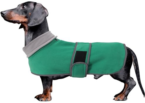 MOREZI Winterhundejacke mit wattiertem Flusenfutter, verstellbarem Klettknopf und hochklappbarem Stehkragen. Sehr gut geeignet für Dackel und kleine und mittelgroße Jagdhunde-Grün-XS