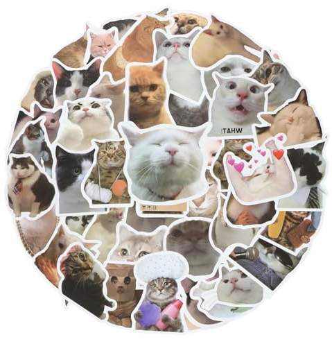 Amaxiu Lustige Vinyl Katzenaufkleber, 50 Stück interessant süße Katzenaufkleber Wasserfeste Aufkleber Wasserflaschen ästhetische Kawaii Kätzchenaufkleber für Katzenliebhaber Scrapbook (50 Stück)