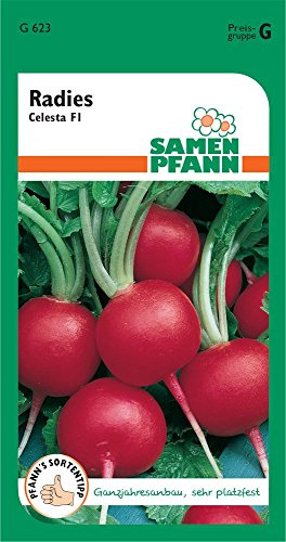SAMEN PFANN® Radies, Celesta F1 Kleinpackung - Gemüse-Samen Radieschen-Samen Saatgut Samen (Raphanus sativus)